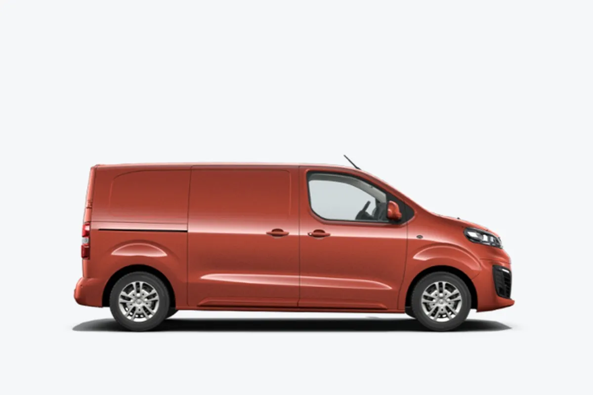Medium Vans